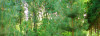 botanika_07.jpg