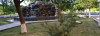 botanika_14.jpg