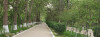 chimyon_08.jpg