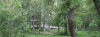 chimyon_16.jpg